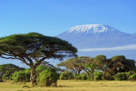 Snow on top of Mount Kilimanjaro in Amboseli