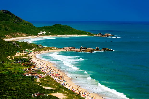 Aerial view of beach